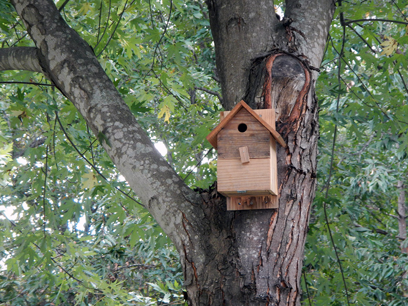 A birdhouse has been installed.