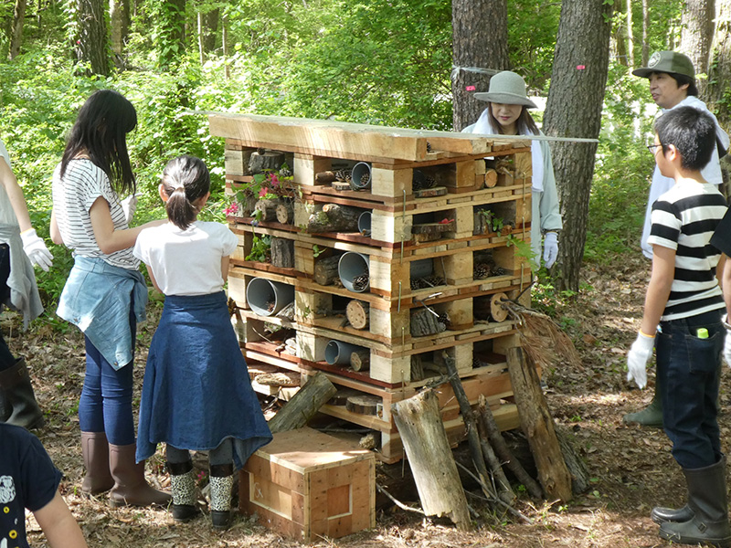 Insect hotel in production. We use natural materials in green areas.