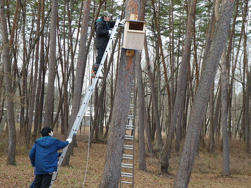 Setting up the completed nesting boxes