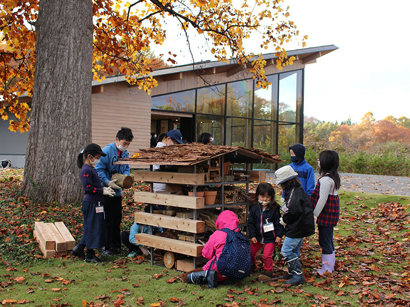 Building an insect hotel