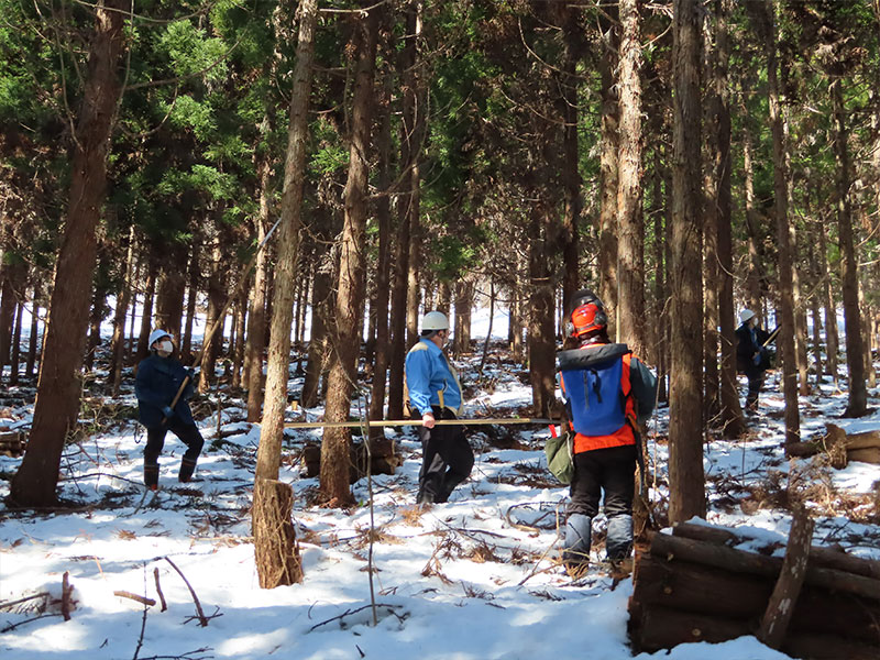 Pruning work