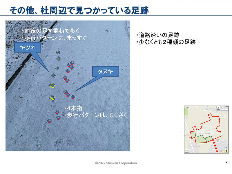 Identifying animals from tracks left in the snow