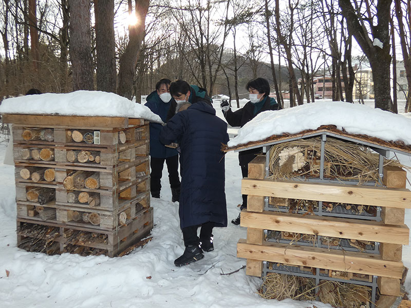 Observing an insect hotel in winter