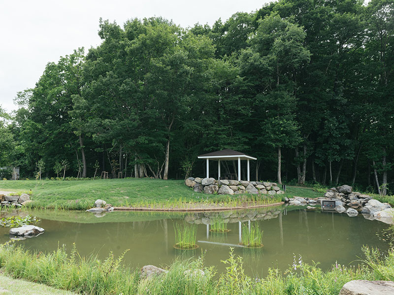 Wetland plants are planted around the large pond