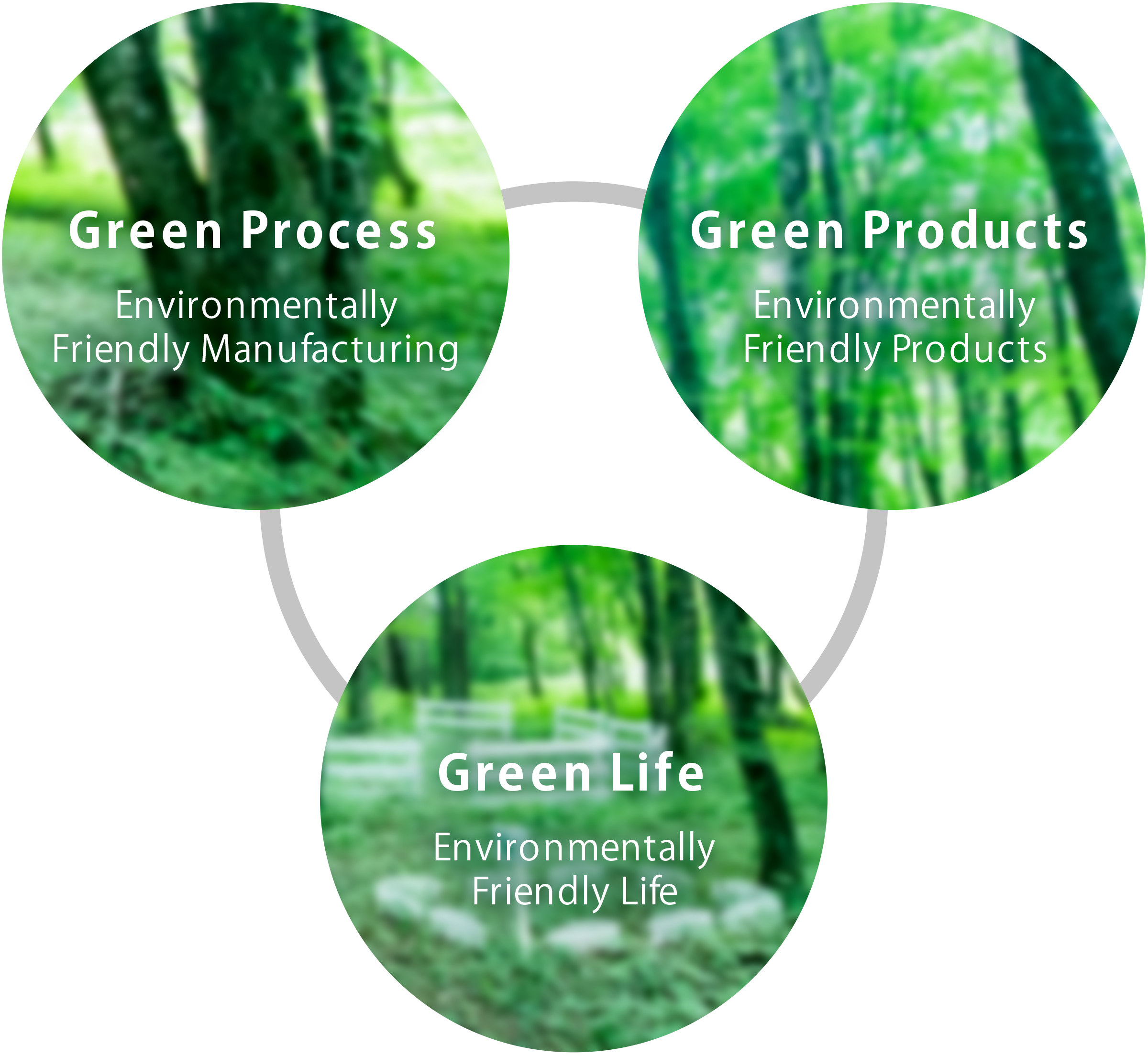 “Three Green Plan” concept: Green Process, Green Products and Green Life.