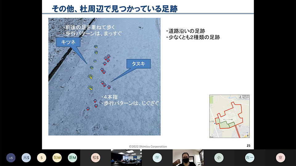 雪上に残された足跡から動物を同定