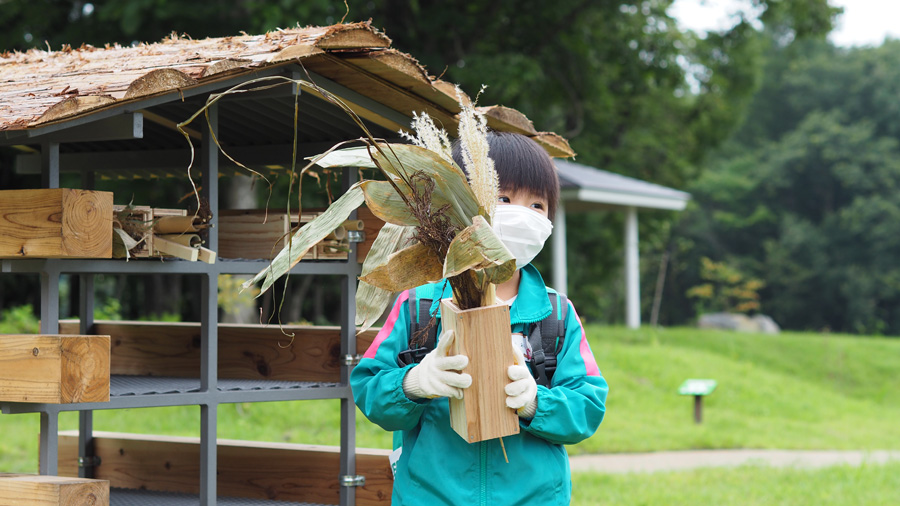 虫の部屋をインセクトホテルへ