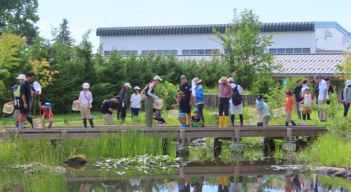 当社ビオトープ「わくわくトープ」にて夏の生きもの調査を実施