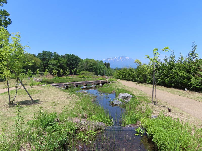 わくわくトープ