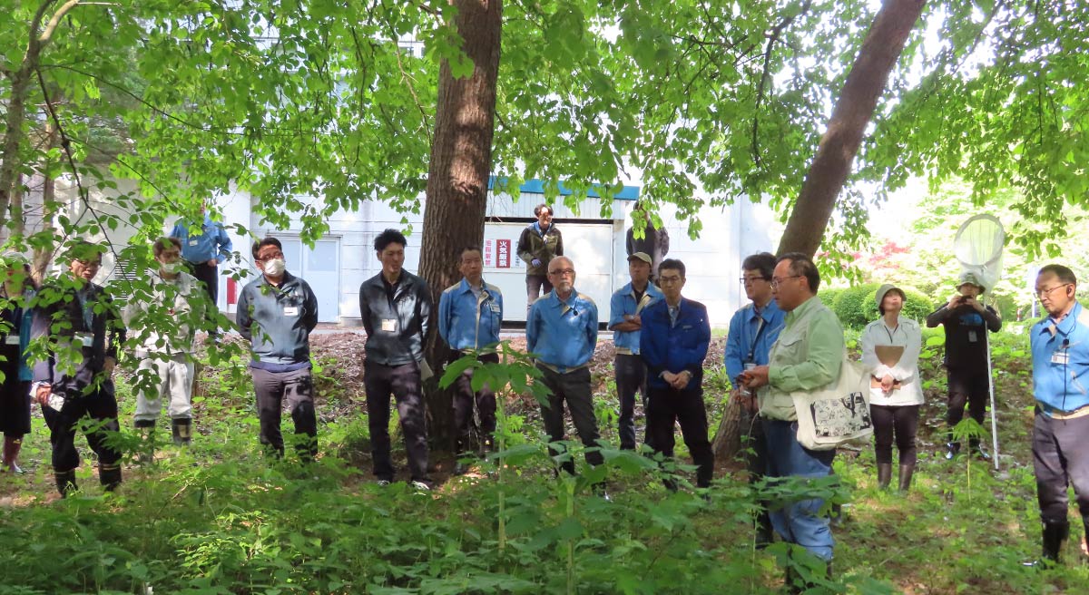 自然観察会風景写真