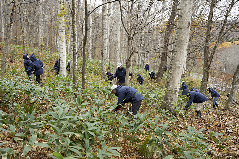 下草刈りの様子