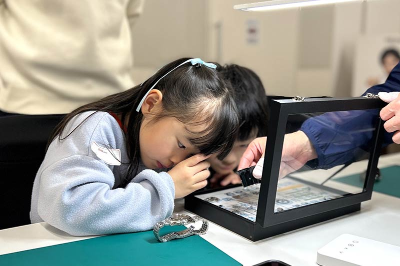 パーツ標本の観察