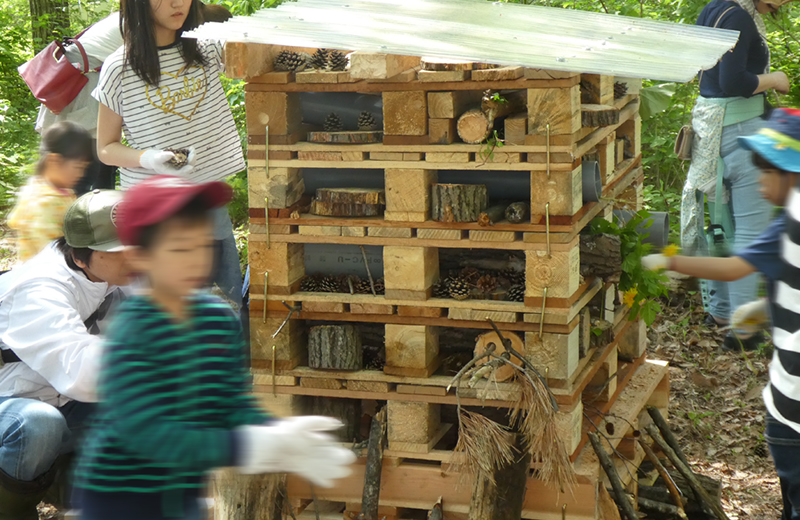 虫や小動物を集めるインセクトホテル（虫ホテル）