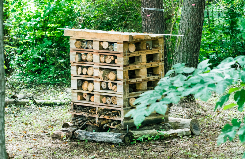 虫や小動物をあつめるインセクトホテル（虫ホテル）