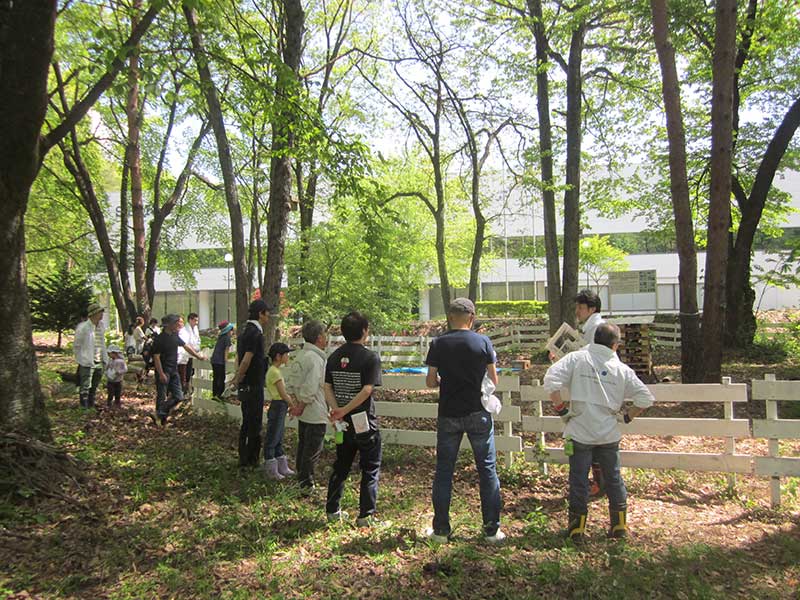 盛岡セイコー工業の緑地の見どころを解説しています。