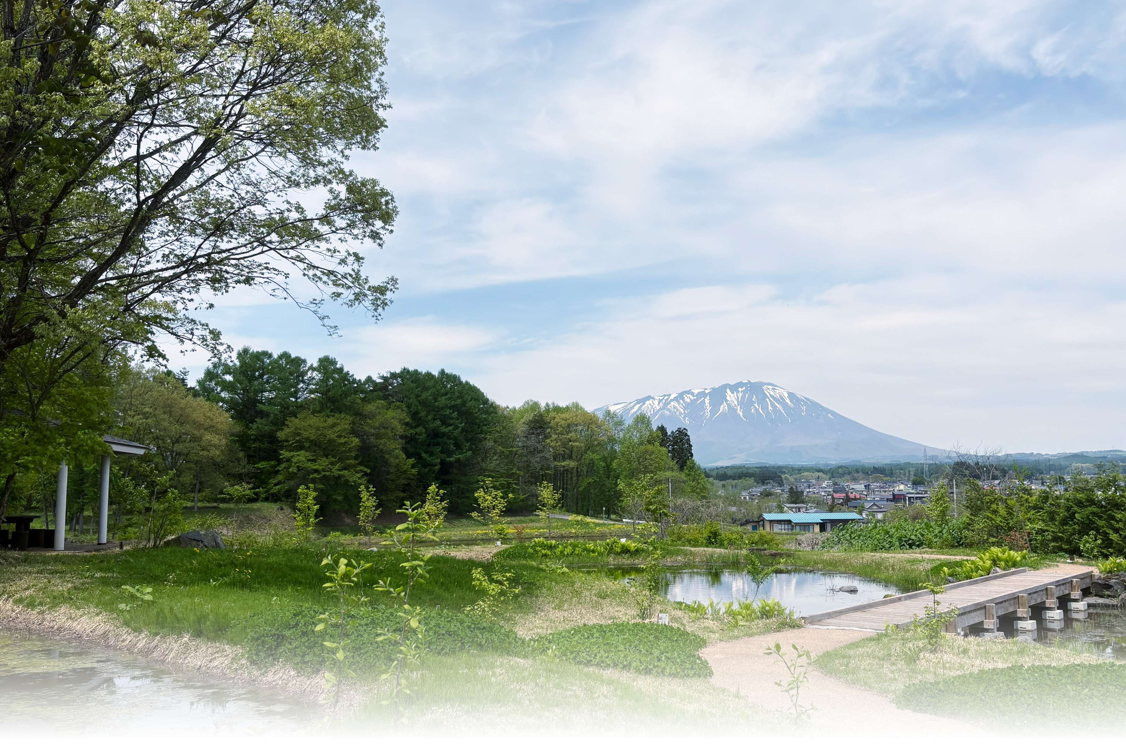 生き物の場所ビオトープ