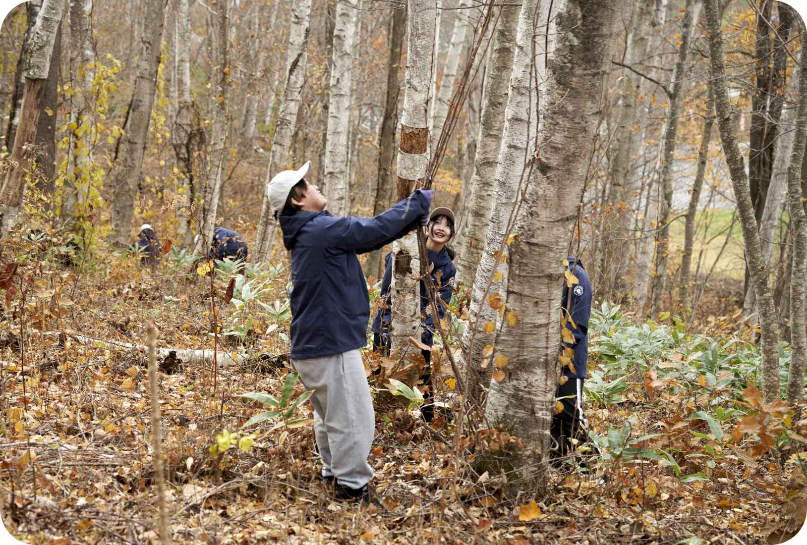 平庭高原森林保全活動