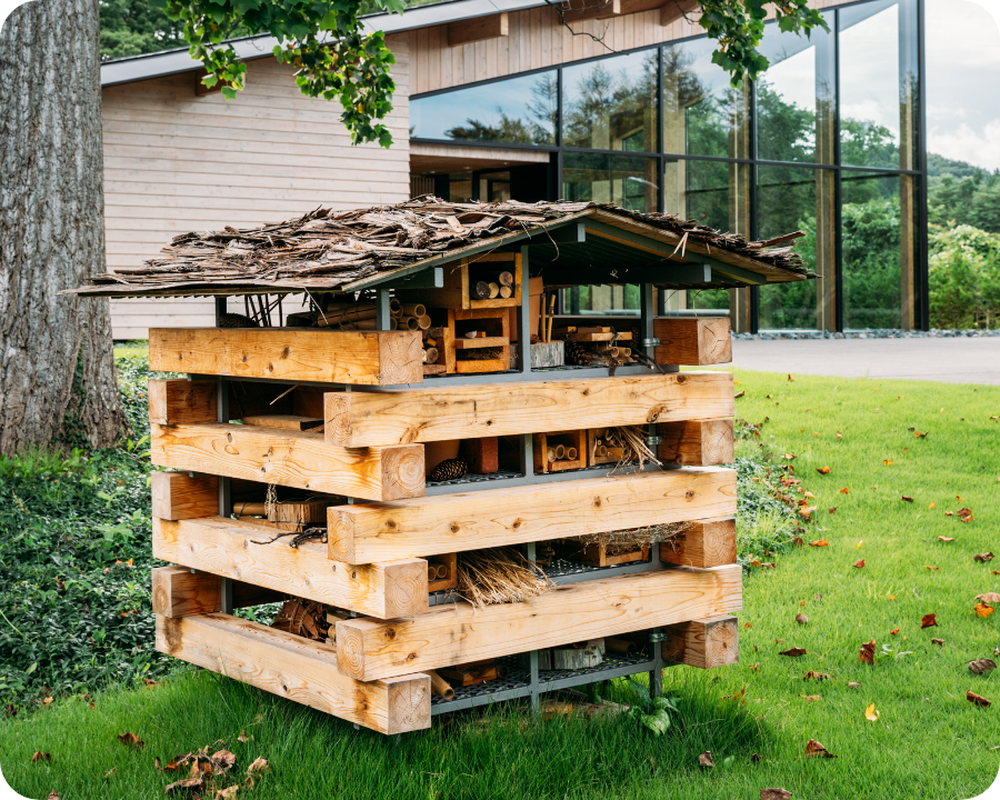 平庭高原森林保全活動