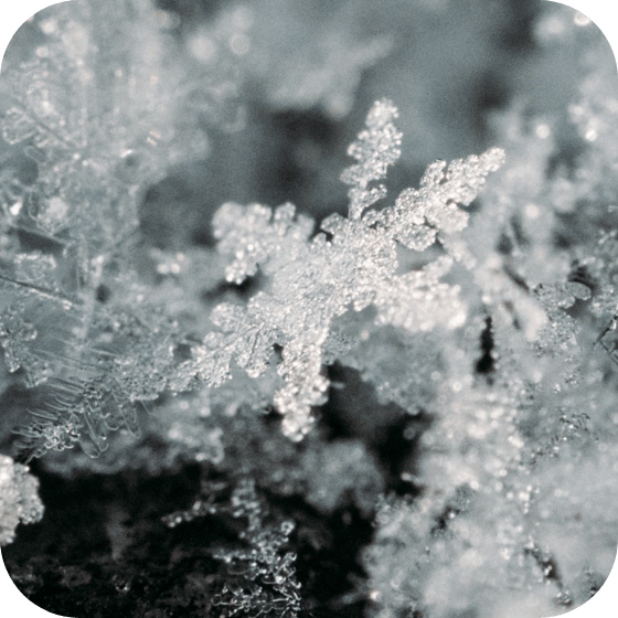 雪の結晶